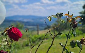 Appartamento Il Nido